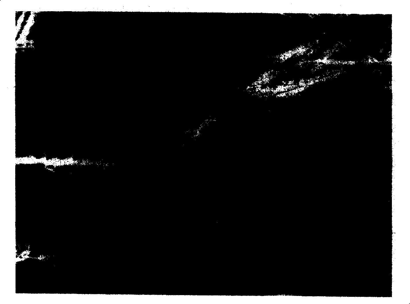 Beta'-Sialon whisker gas phase reaction preparation method