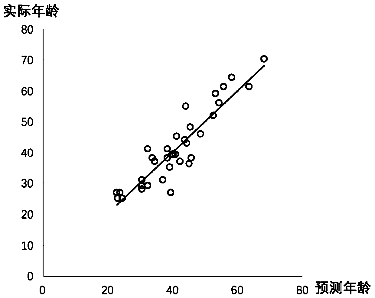 Human body physiological age analysis method, system and model based on conventional physical examination indexes