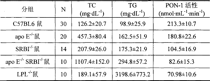 Method for detecting enzymatic activity of PON-1 in blood sample and application thereof