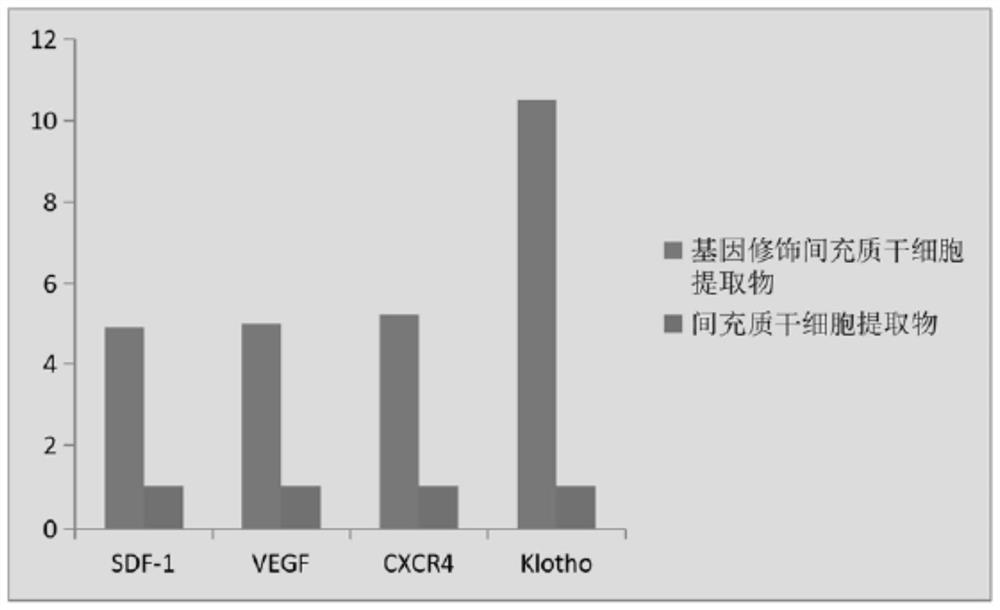 Genetically modified mesenchymal stem cell extract, extraction method and application in skin tightening and aging resistance