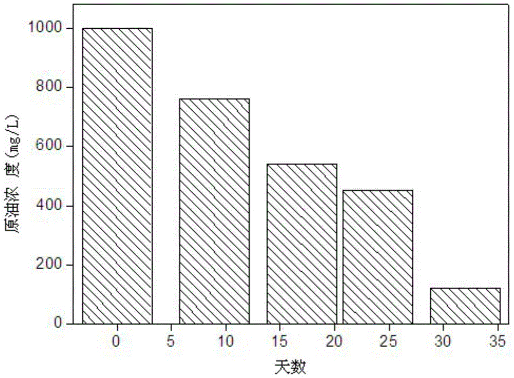 Method for degrading dehydrated crude oil in water combined with oil-degrading bacteria and surfactant