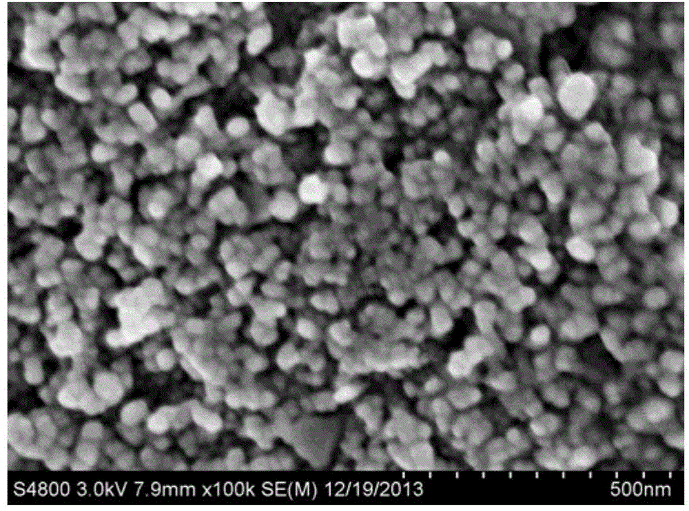 Preparation method of magnetic nanoparticle immobilized amino-acylase as well as product and application of preparation method