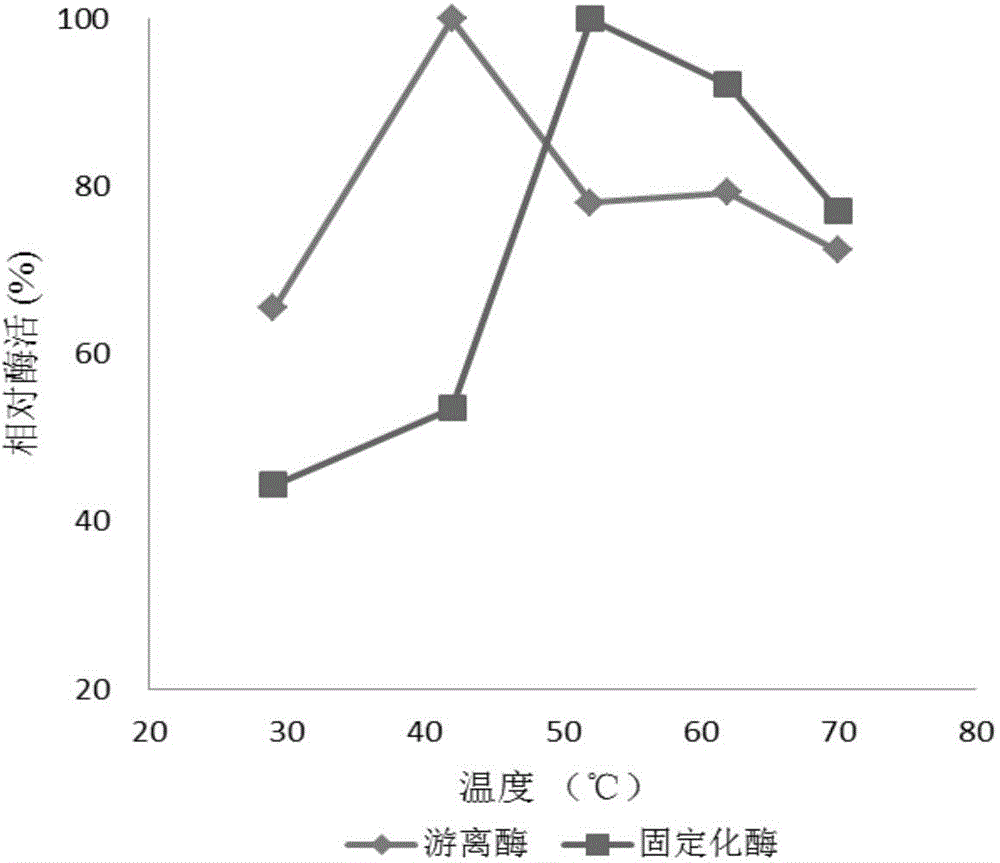 Preparation method of magnetic nanoparticle immobilized amino-acylase as well as product and application of preparation method