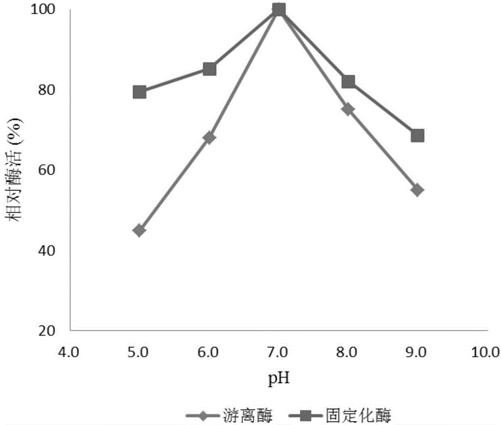 Preparation method of magnetic nanoparticle immobilized amino-acylase as well as product and application of preparation method