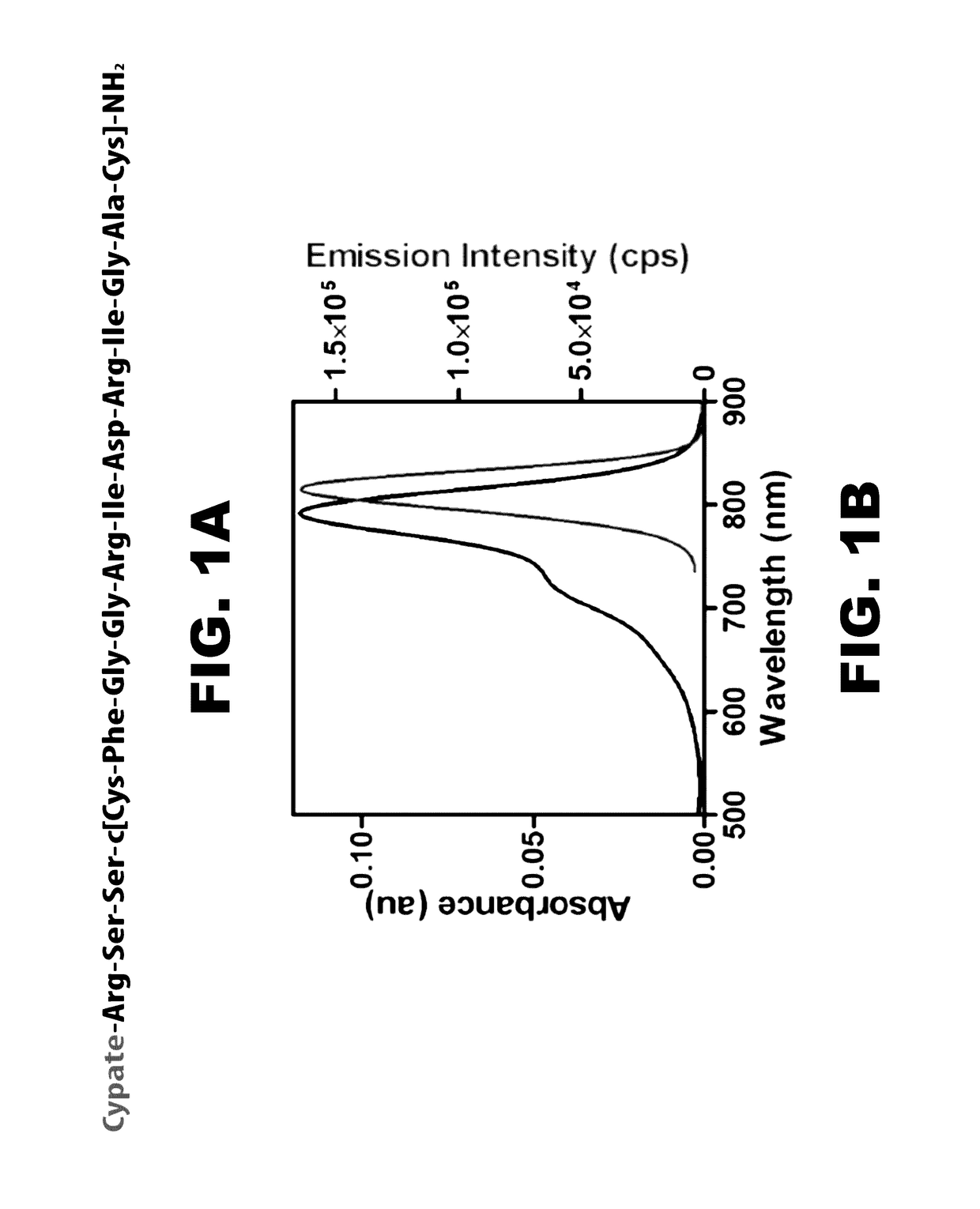 Noninvasive imaging of focal atherosclerotic lesions using fluorescence molecular tomography