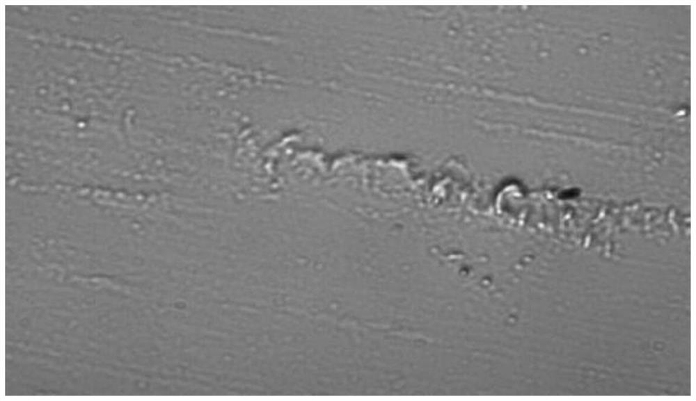 Repairing paste for slight scratches of optical glass