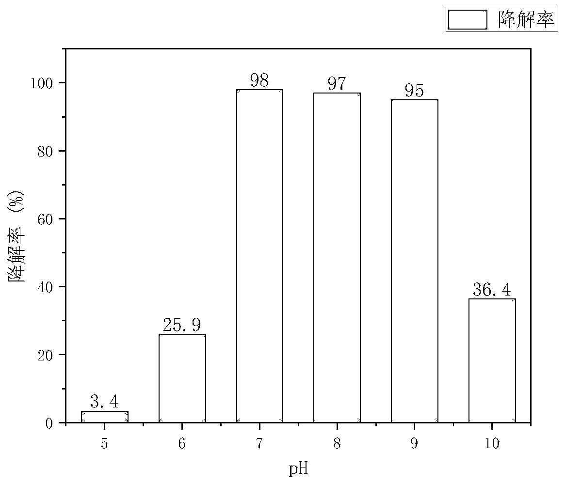 Rhodococcus ruber JJ-3 and application in degradation of acrylic acid