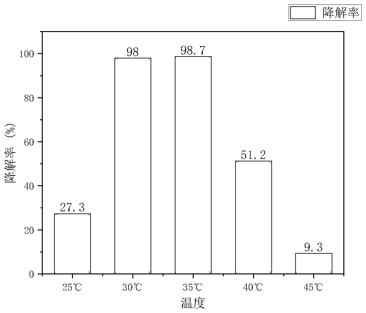 Rhodococcus ruber JJ-3 and application in degradation of acrylic acid