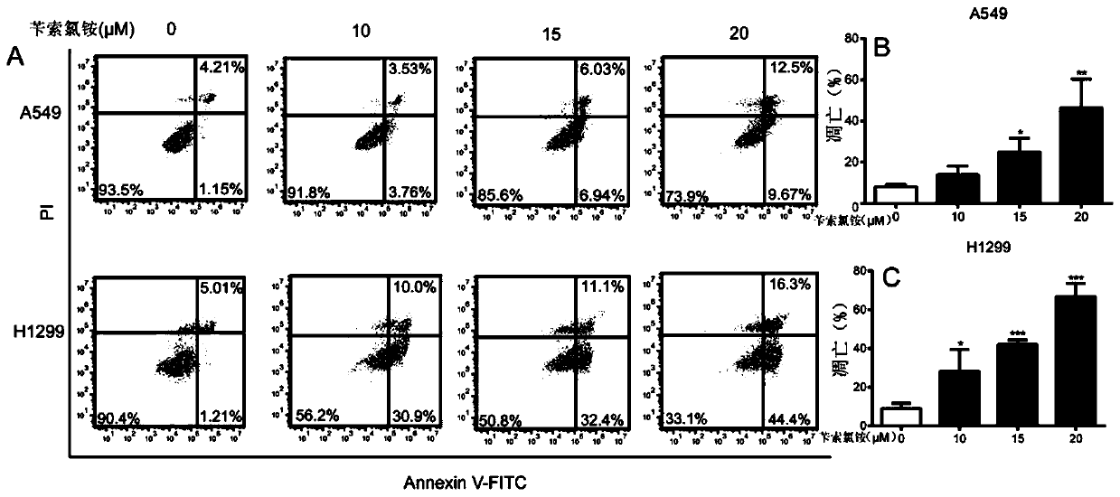 Application of benzethonium chloride in preparation of drugs to prevent and treat lung cancer