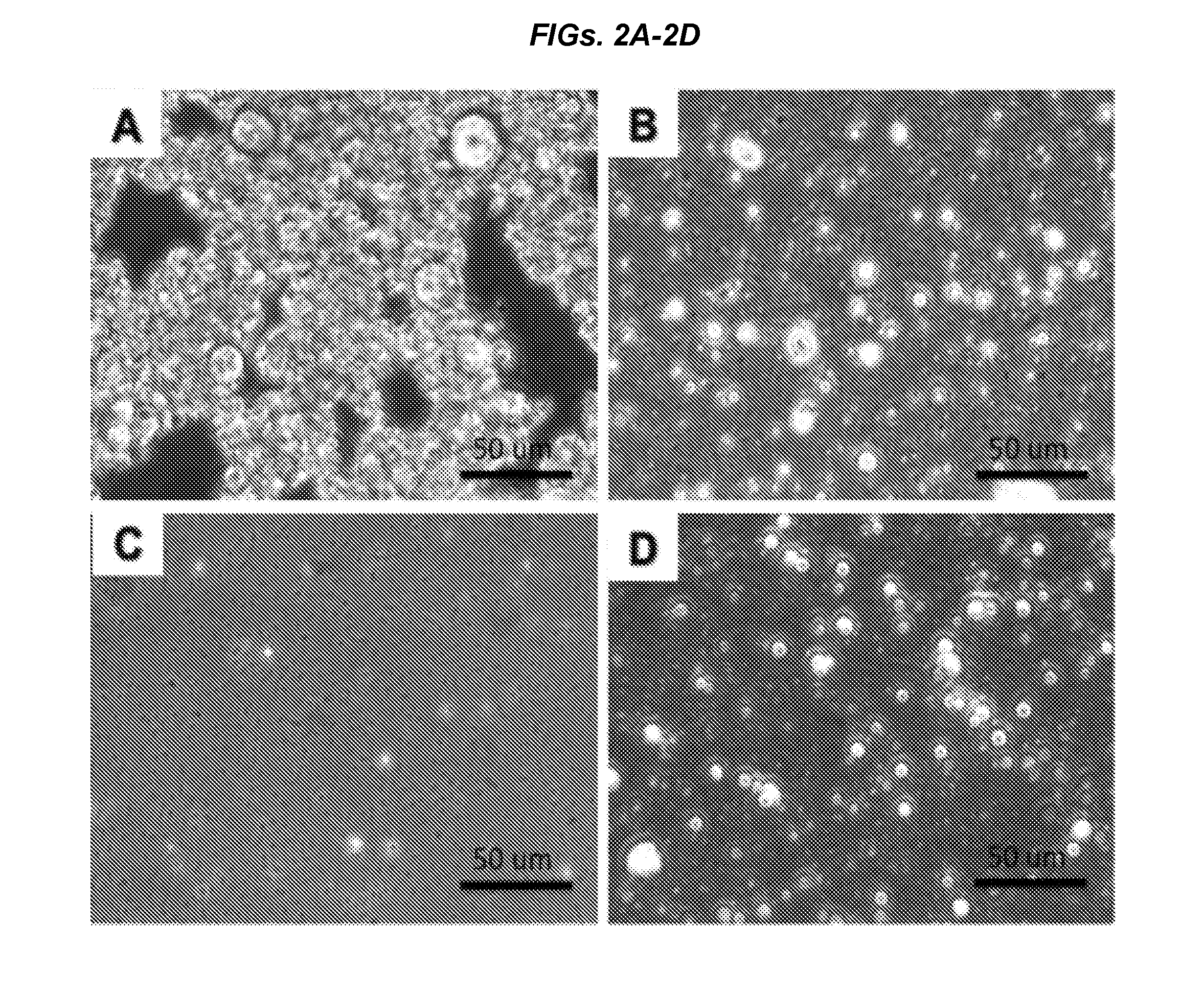 Silk microspheres and methods for surface lubrication