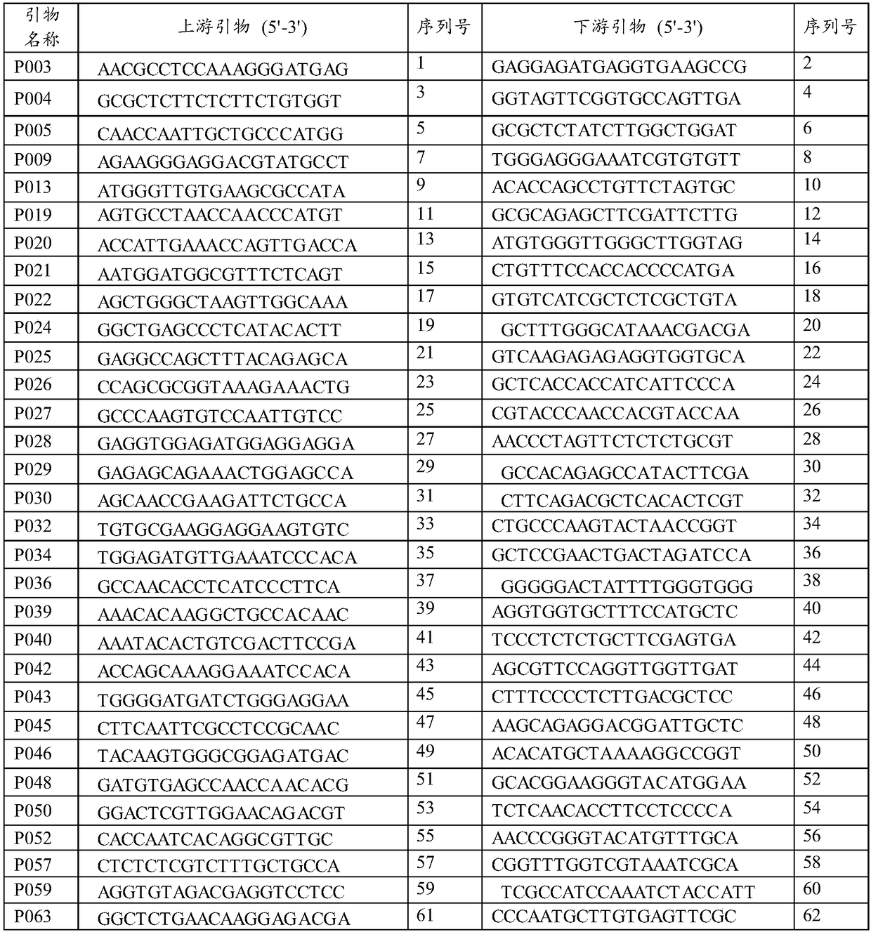 SSR (simple sequence repeat) molecular marker of akebia trifoliate as well as application and preparation method of SSR molecular marker