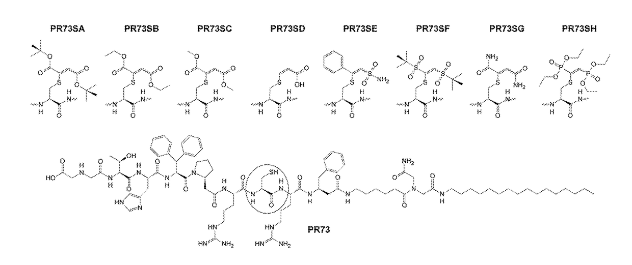 S-Alkylated Hepcidin Peptides and Methods of Making and Using Thereof