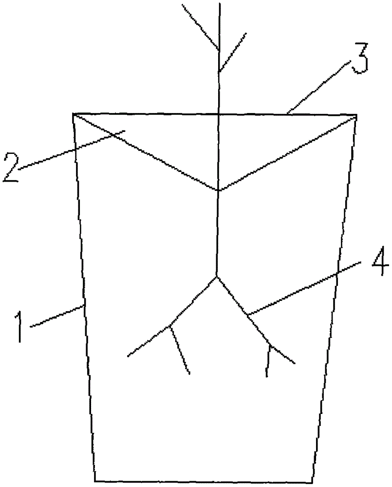 Planting method for increasing bare-rooted seedling afforestation survival rate with water-saving irrigation