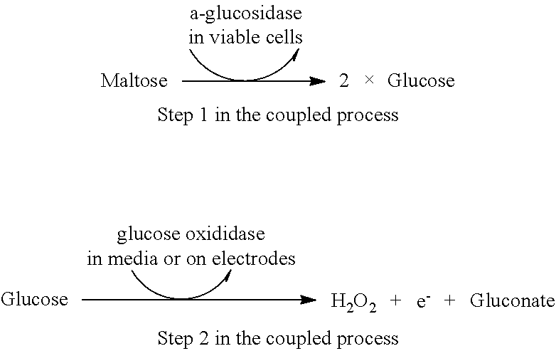 Coupled enzyme-based method for electronic monitoring of biological indicator