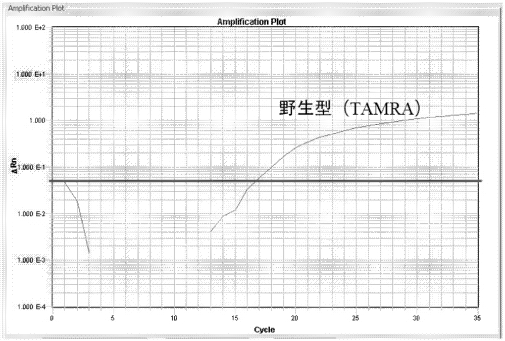 Detection method for CALR (Calreticulin) gene deletion and insertion mutation and kit