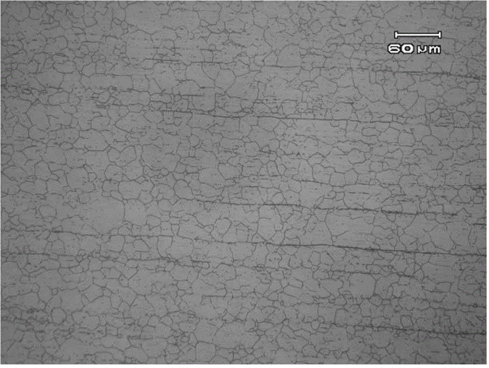 304 stainless steel strip and production method thereof