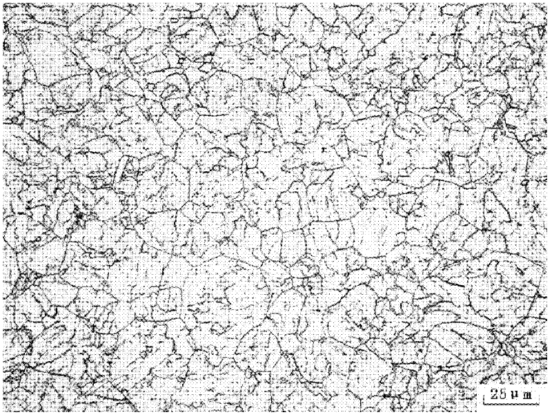 Method for refining grains of heavy forging steel of nuclear reactor evaporator