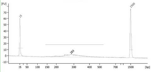 A Library Construction Method for Single-Cell Whole-Genome Bibisulfite Sequencing