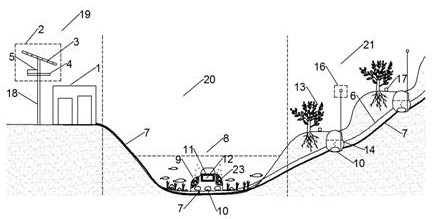 Planting soil targeted remediation system combined with intelligent irrigation technology