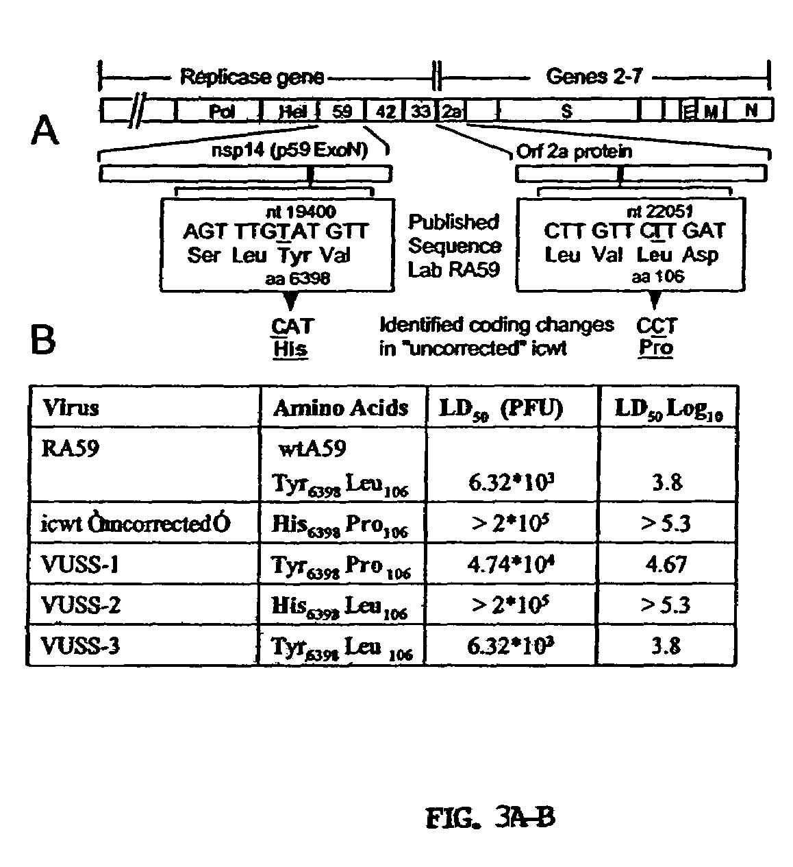 Live attenuated coronavirus vaccines