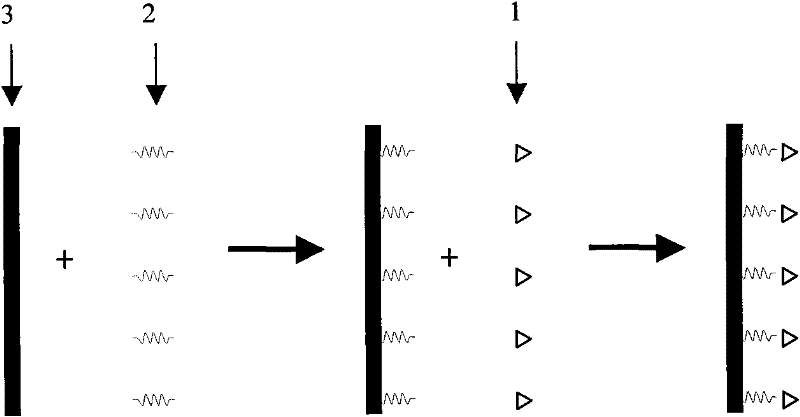 Method for preparing anticoagulant polysulfones material by fourier reaction grafting