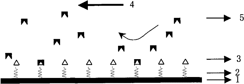 Method for preparing anticoagulant polysulfones material by fourier reaction grafting