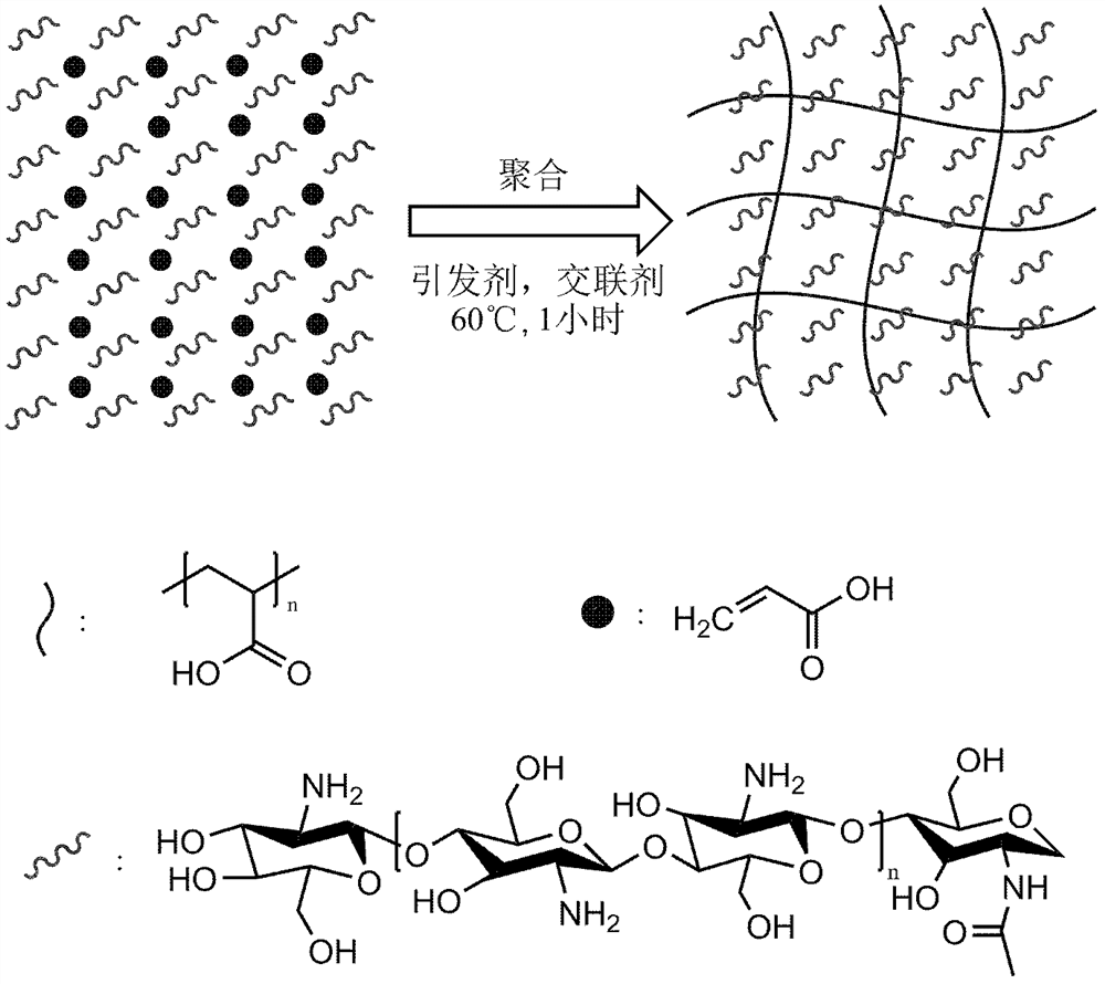 A quadruple shape memory hydrogel and its preparation method