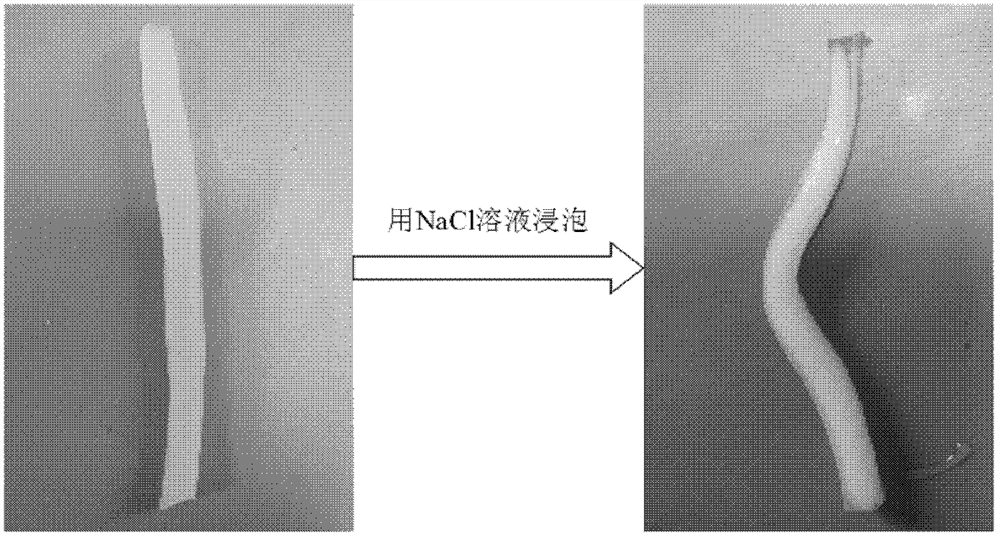 A quadruple shape memory hydrogel and its preparation method