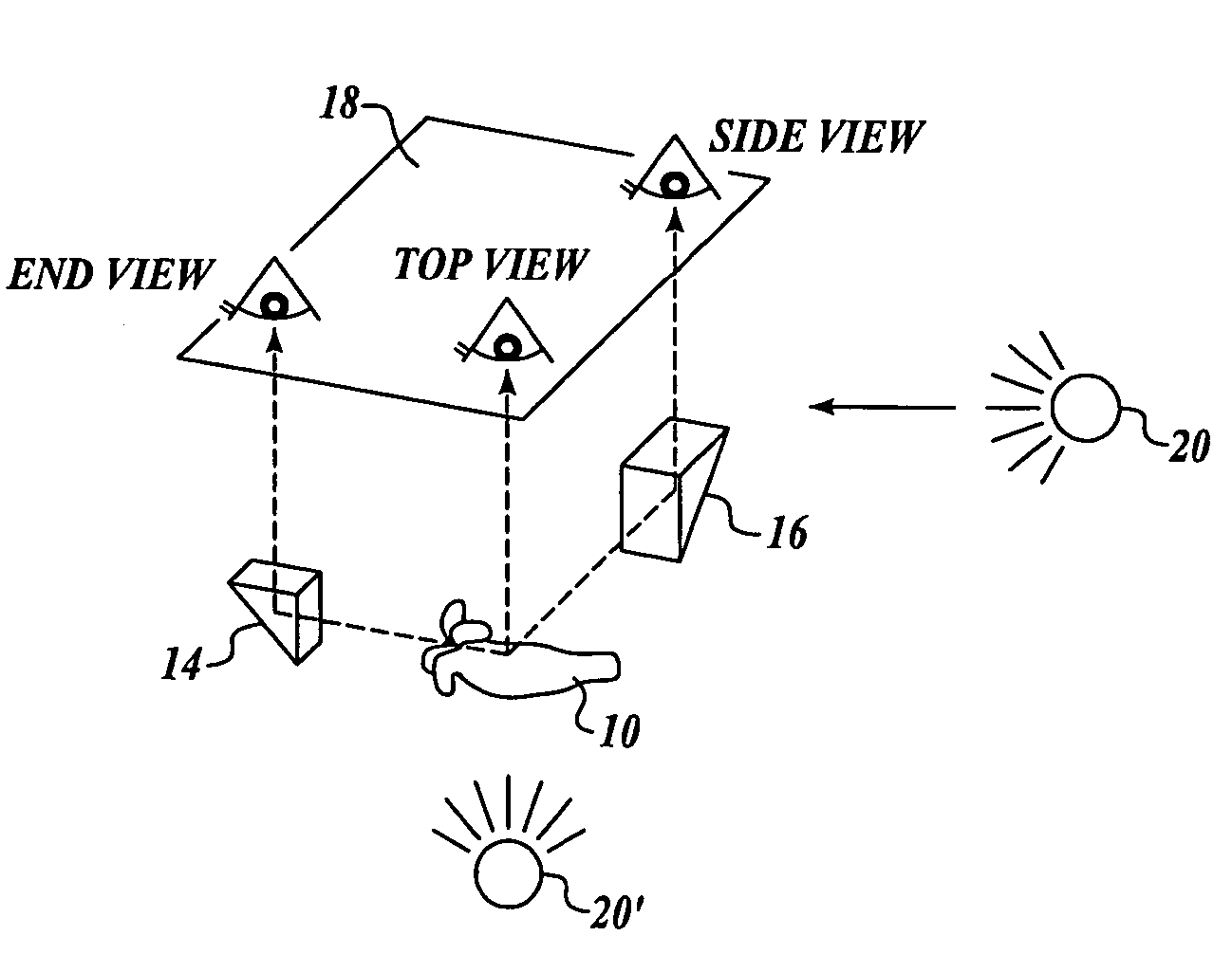 Method and system for simultaneously imaging multiple views of a plant embryo