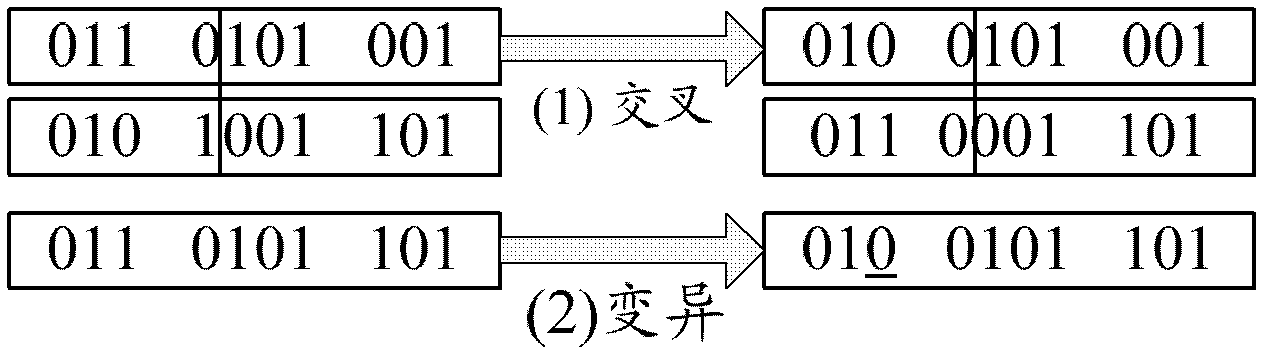 Device and method for mining binary program vulnerabilities