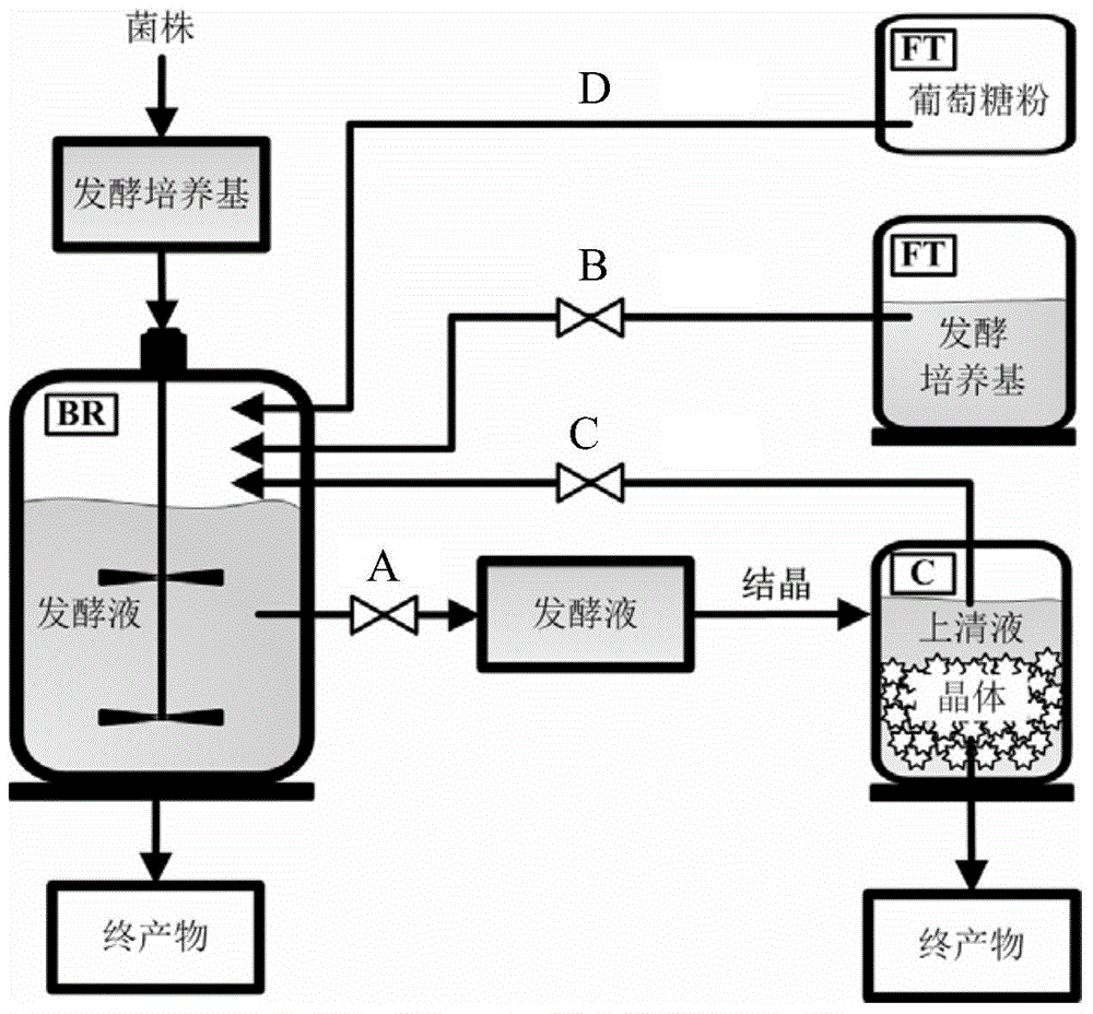 Bacillus coagulans and application thereof in calcium lactate production by in-situ product separating and fermentation