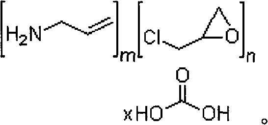 Method for preparing sevelamer carbonate