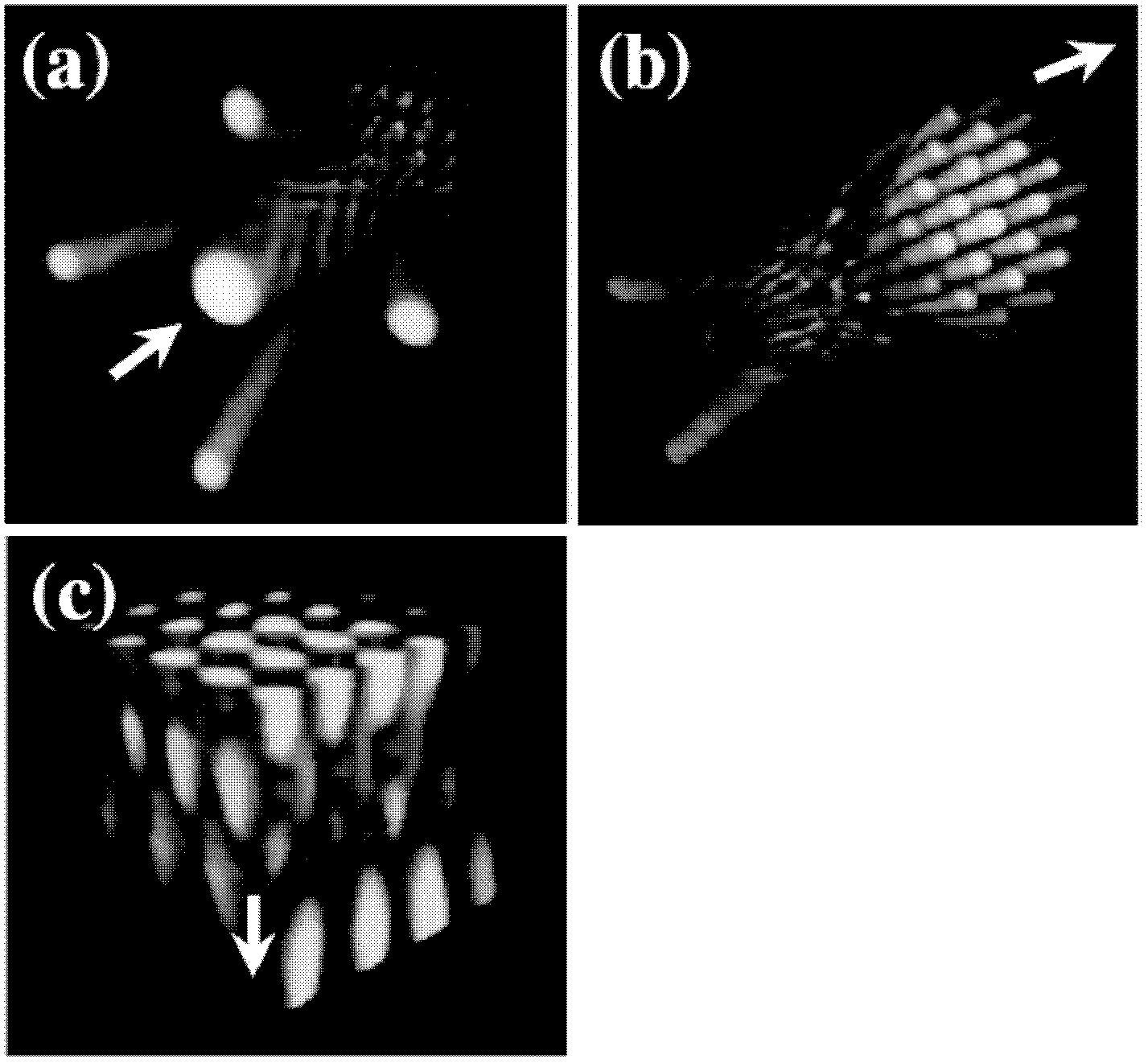 Aerosol particle sampling and detecting method and device based on energy trap method