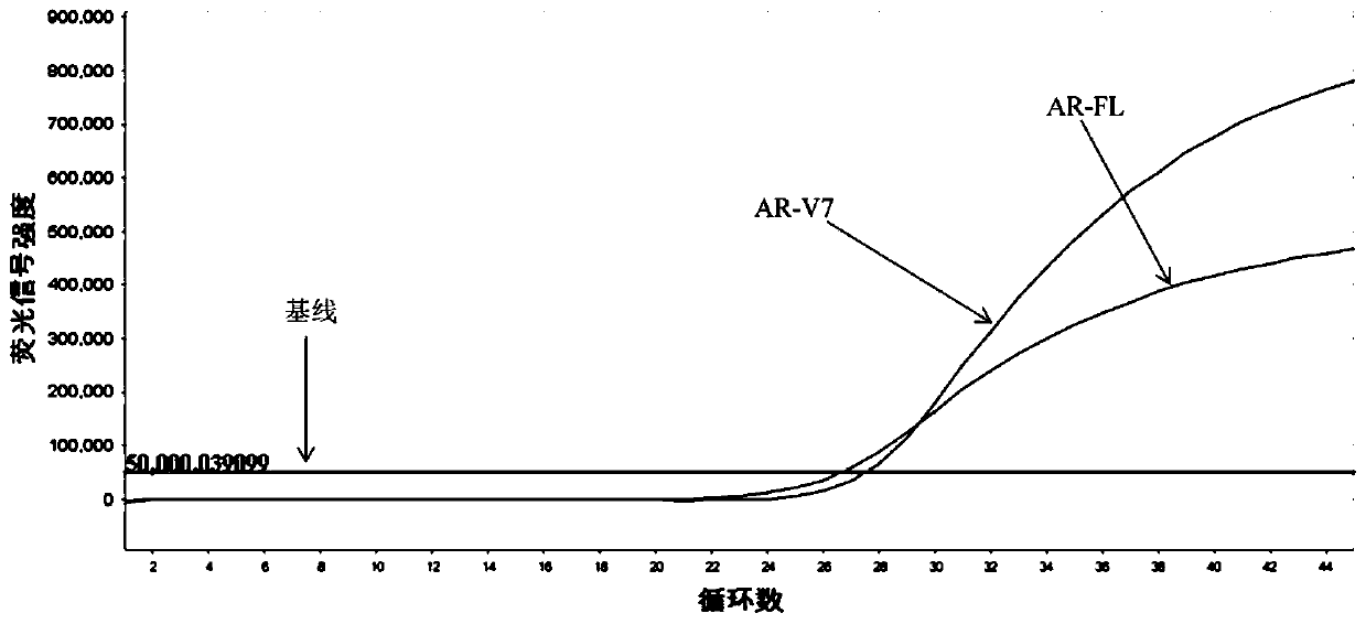 Primer probe composition, kit and detection method for detecting human AR-V7 and AR gene expression