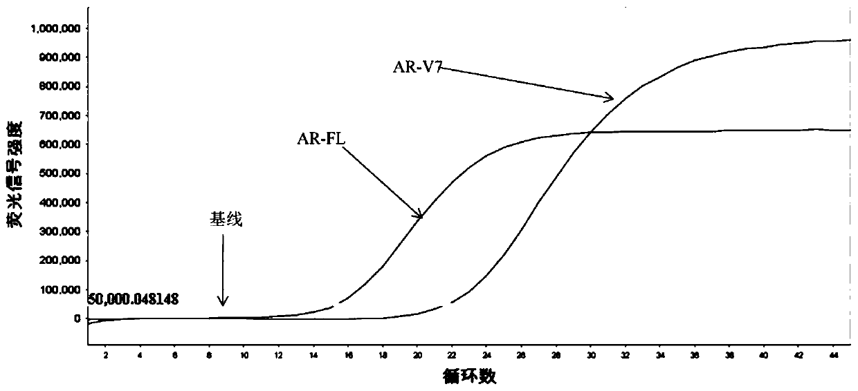 Primer probe composition, kit and detection method for detecting human AR-V7 and AR gene expression