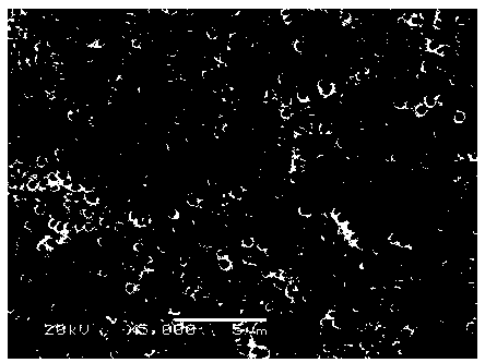 Preparation method of functional diaphragm of lithium sulfur battery