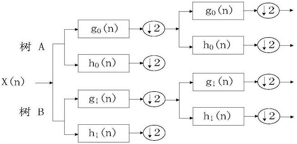 Seismic signal noise reduction method and system based on dual-tree complex wavelet domain