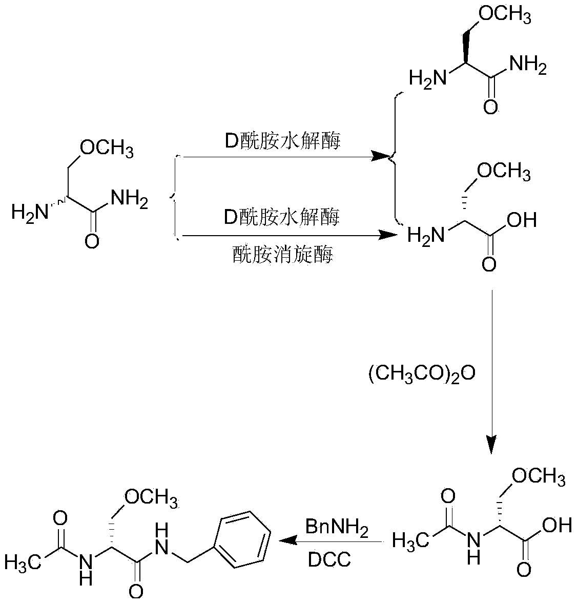 Method for preparing lacosamide by virtue of chemoenzymatic method