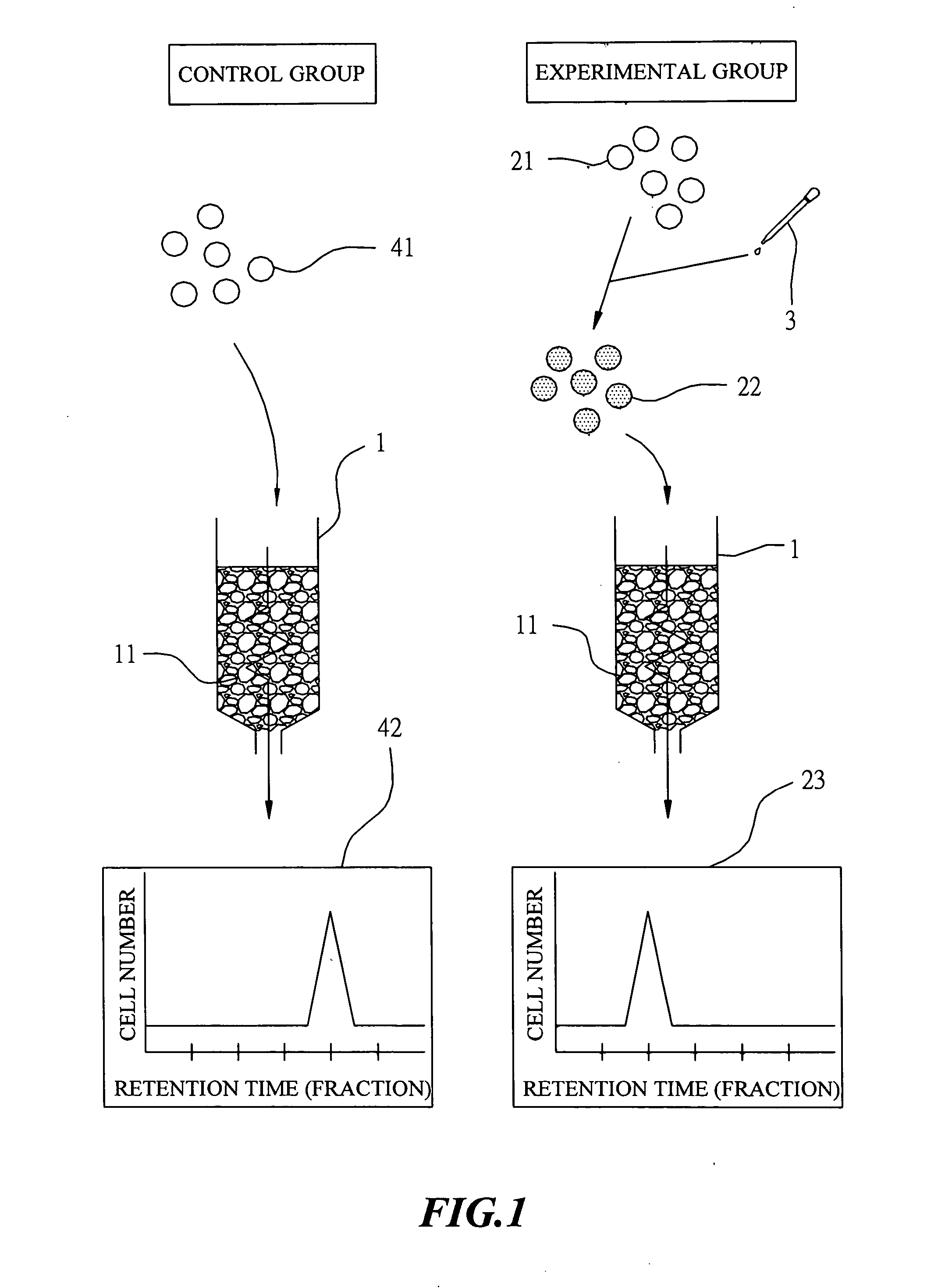 Apparatus and method for rapid separation of cells without using density gradient and antibodies