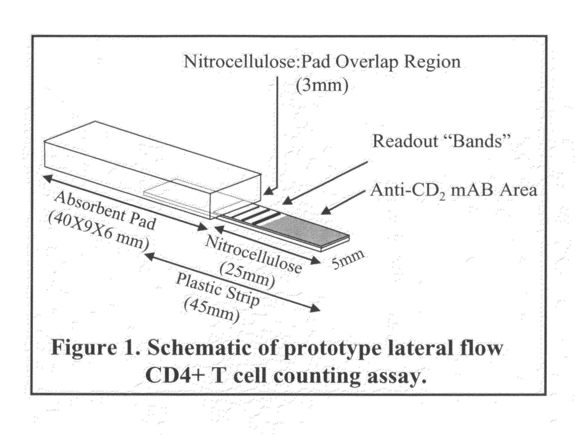 Lateral flow based methods and assays for rapid and inexpensive diagnostic tests