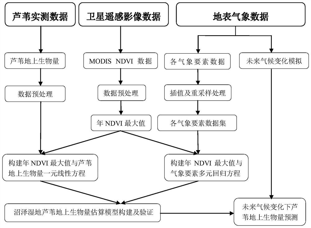 Marsh wetland reed aboveground biomass estimation method