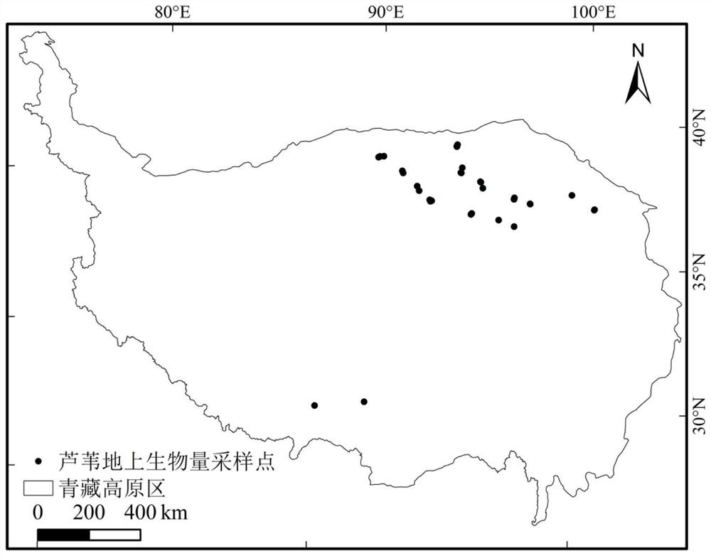 Marsh wetland reed aboveground biomass estimation method