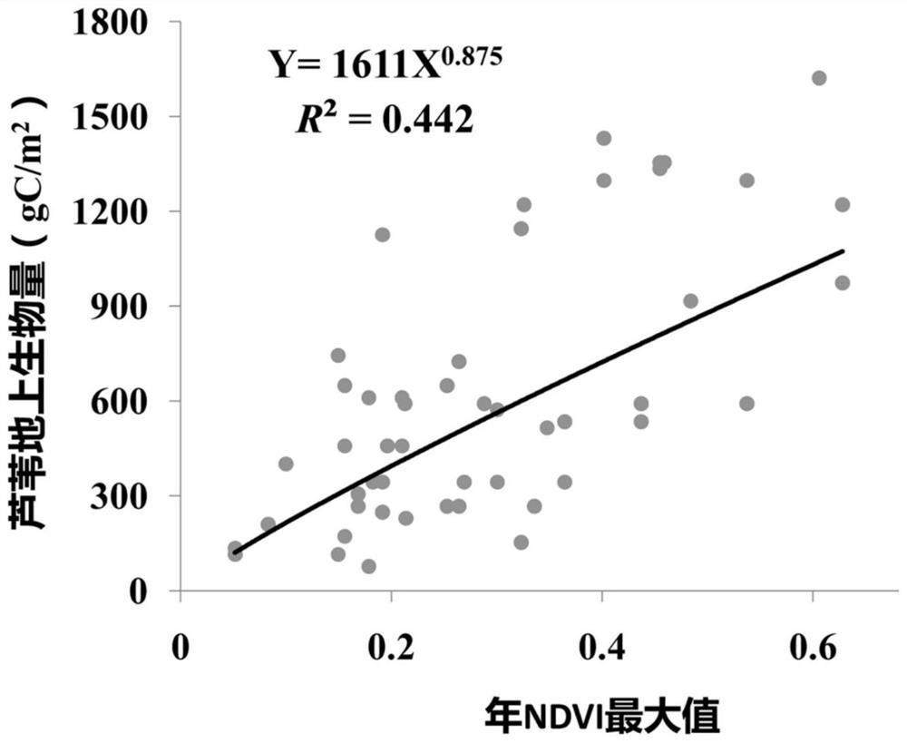 Marsh wetland reed aboveground biomass estimation method