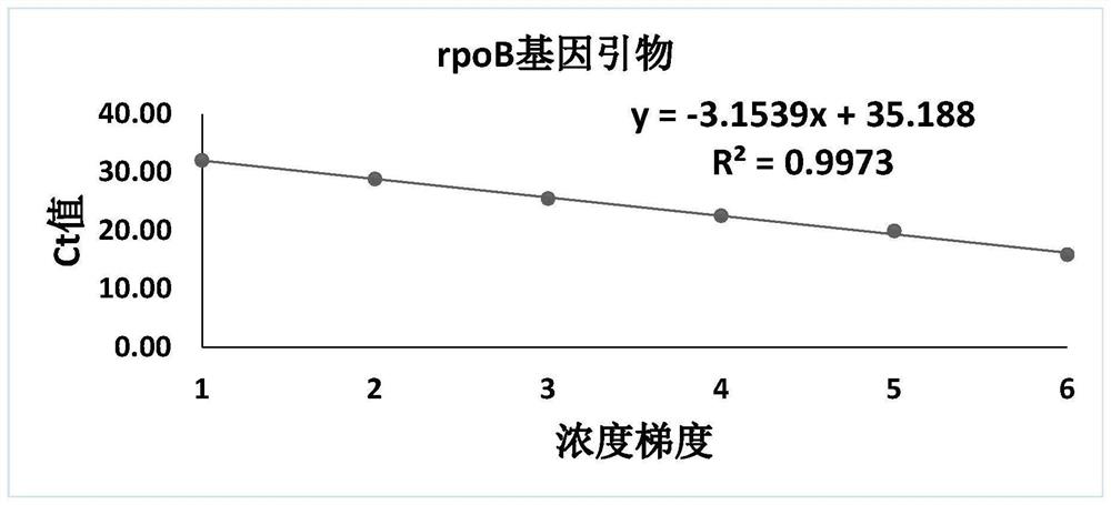 Fluorescent quantitative PCR method for detecting toxigenic chlamydia pneumoniae and corresponding kit