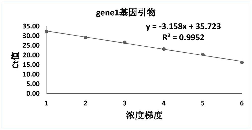 Fluorescent quantitative PCR method for detecting toxigenic chlamydia pneumoniae and corresponding kit