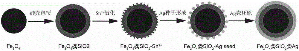 Preparation method and SERS application of monodispersed silver-shell magnetic microspheres