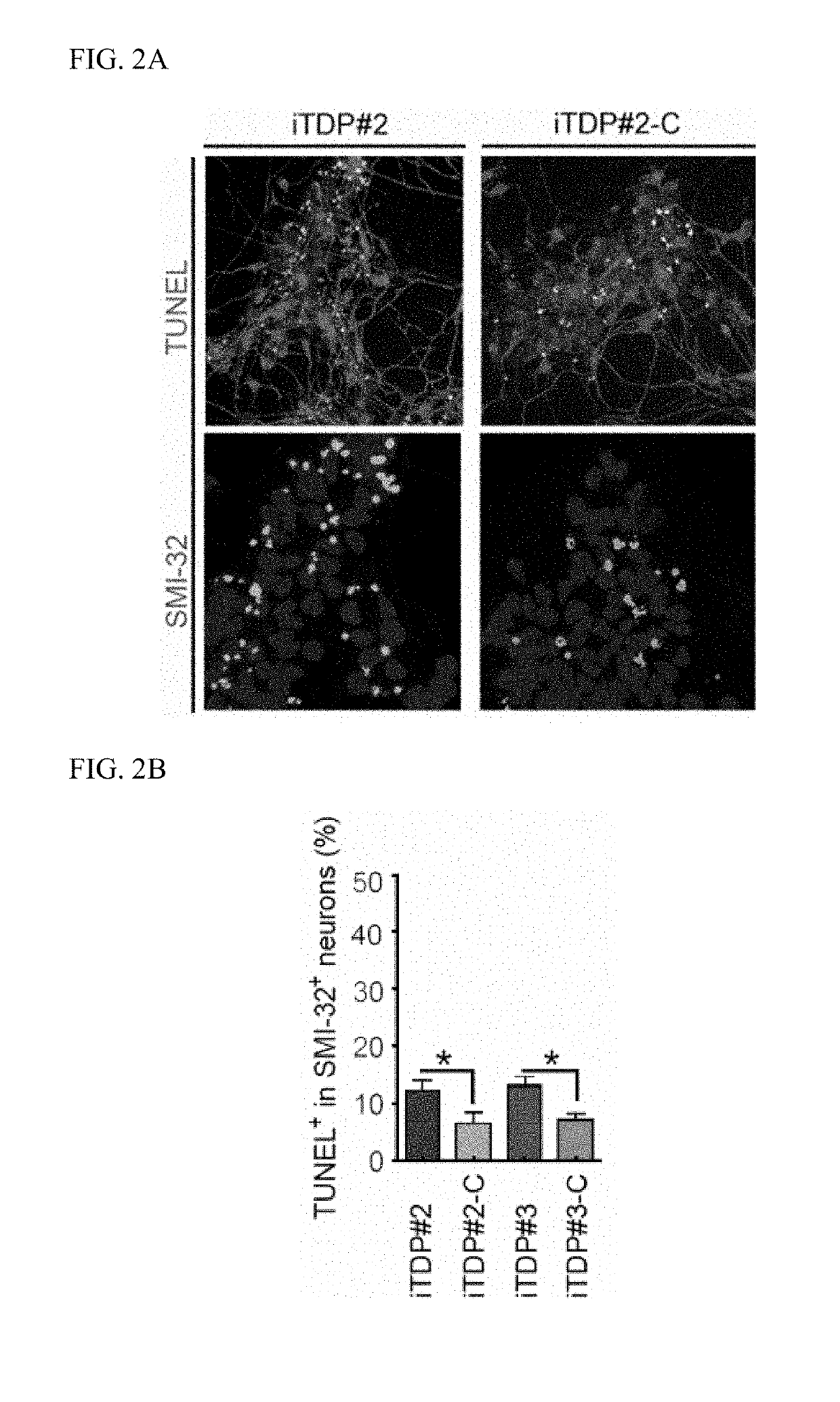 Nuclear paraspeckle assembly transcript 1 as therapeutic targeting in neurodegeneration