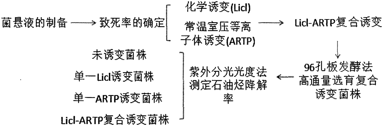 Method for high-throughput breeding of petroleum degradation mutant strains