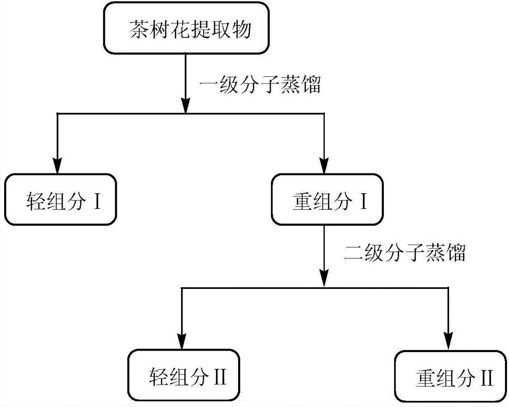 Segmented camellia sinensis flower exaction and preparation method thereof, and application of exaction in cigarettes