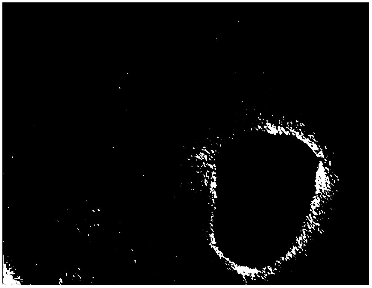 A method for isolating and culturing chicken embryonic pulmonary artery smooth muscle cells